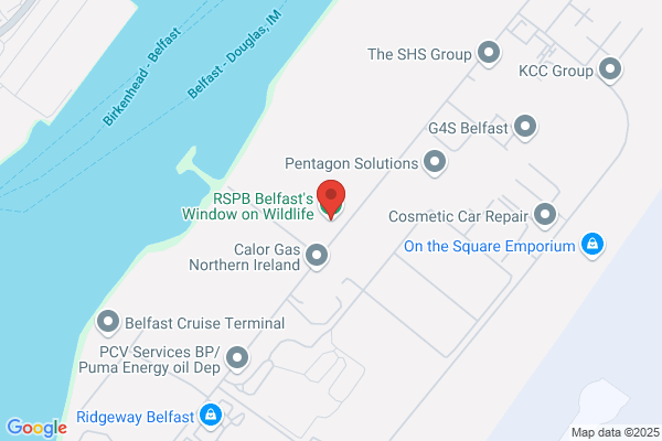 Royal Society For Protection Of Birds