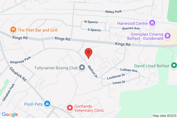 BR Driving School