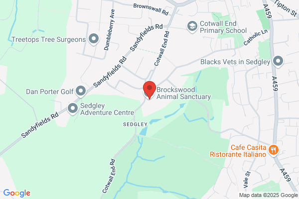 Proteus Reptile Trust