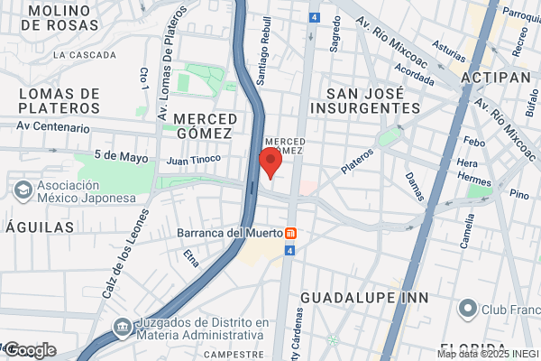 Brides & Grooms