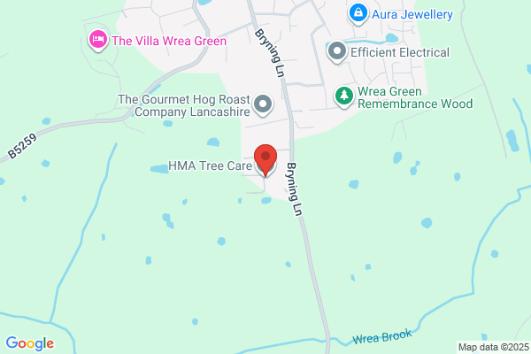 HMA Tree Care