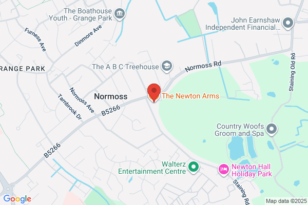 The Newton