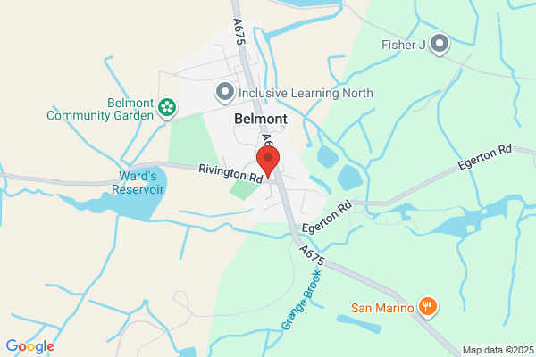 The Belmont Bull
