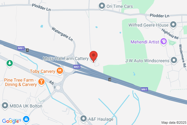 Ashstone Cattery