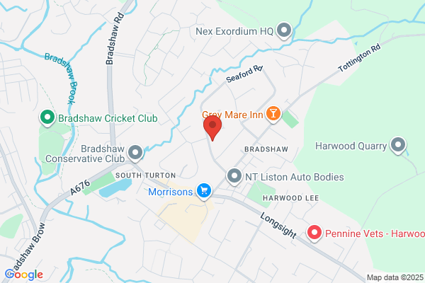 Belmont Tree Surgeons