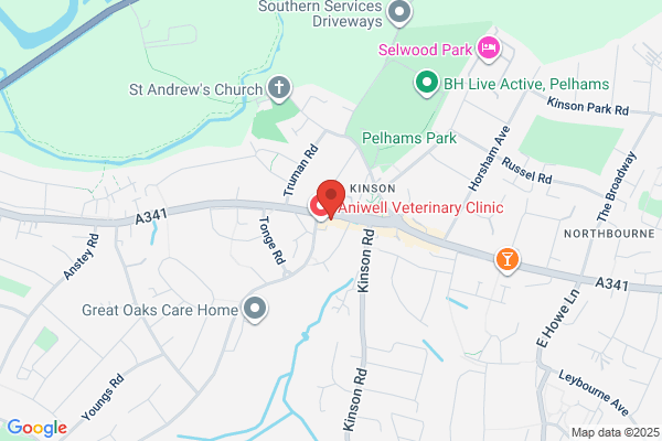 Domino's Pizza - Bournemouth - Kinson