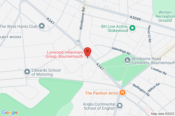Lynwood Veterinary Group, Bournemouth