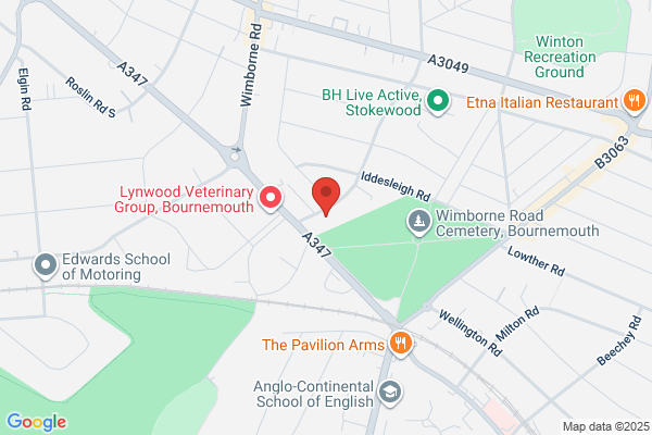 Stokewood Veterinary Clinic