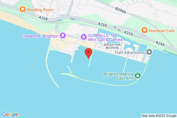 Brighton Diver