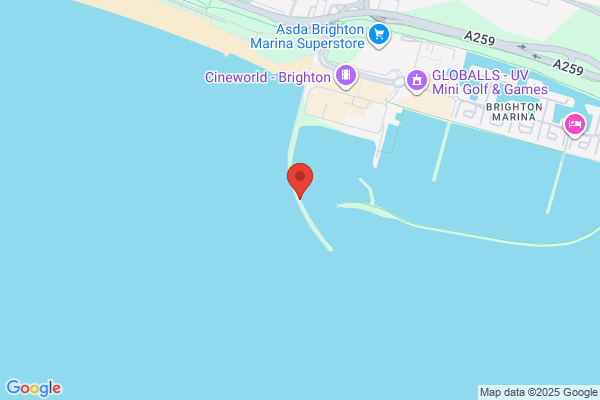 The Brighton Angler