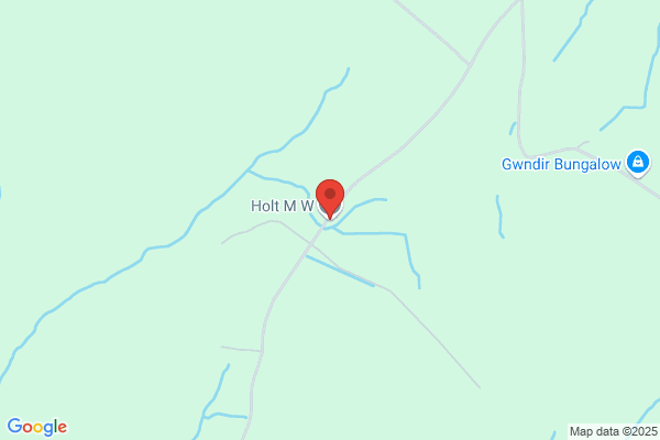 M Holt