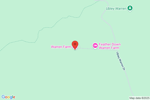 Warren & Co