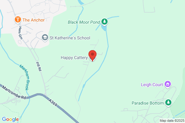 Abbots Leigh Kennels