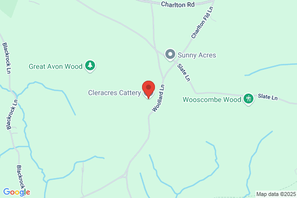 Cleracres Cattery
