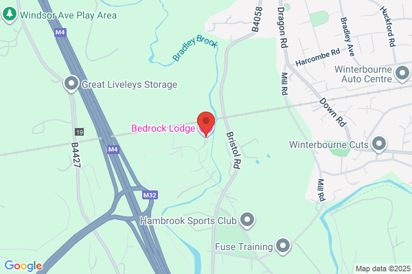 Bedrock Discos