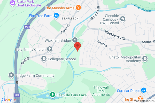 Dog Training Bristol