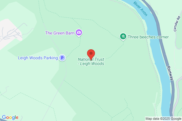 Woods