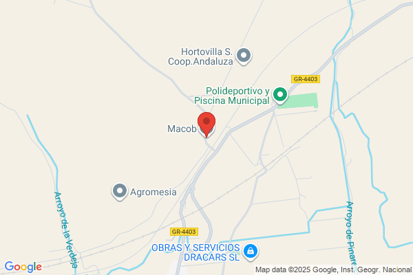 Macob