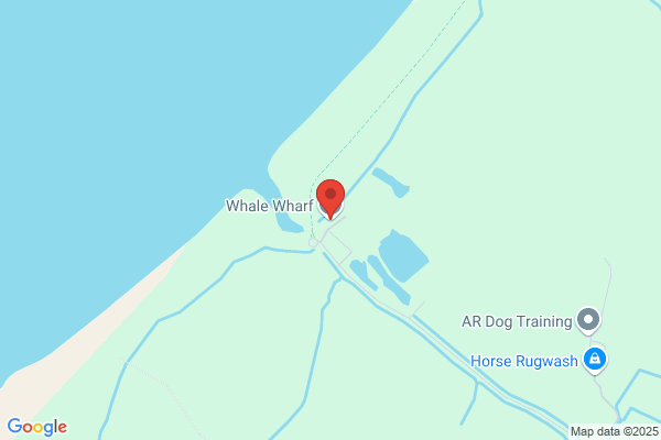 Whale Wharf