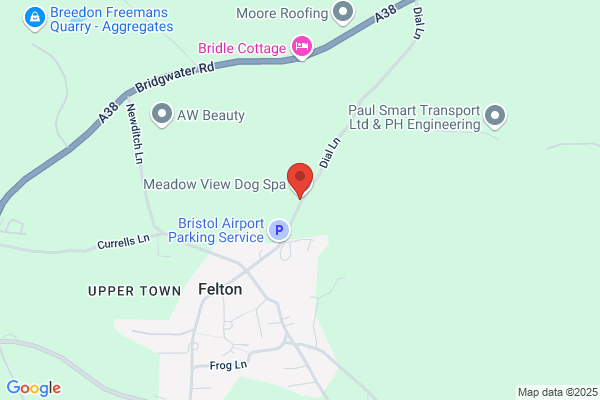 The Lovemore Hotel For Dogs