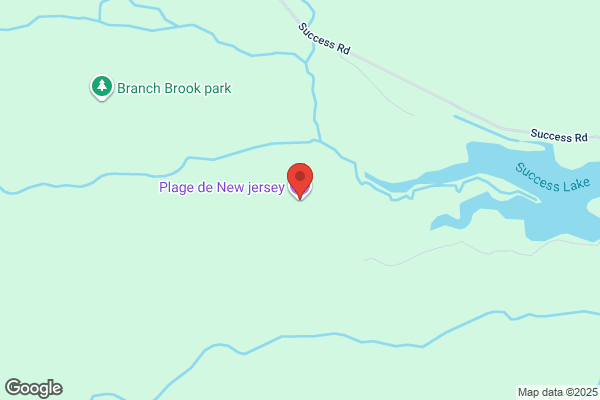 N J
