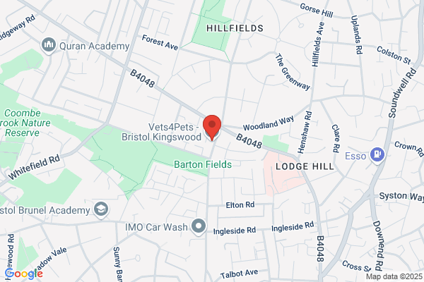 Vets4Pets - Bristol Kingswood
