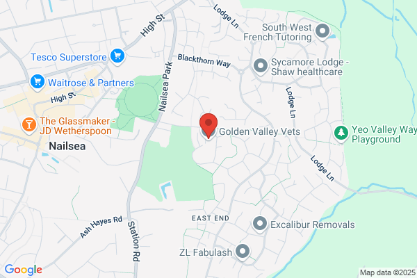 Golden Valley Veterinary Hospital