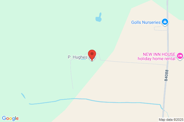 C Hughes