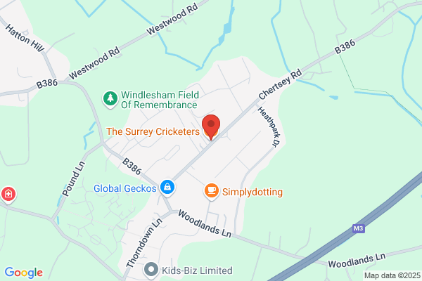The Cricketers