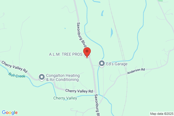 A.L.M Tree Specialist