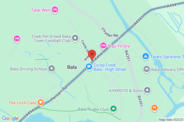 White Lion Royal Hotel Bala Gwynedd