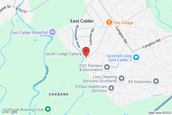 South Lodge Boarding Cattery & Small Pets Hotel