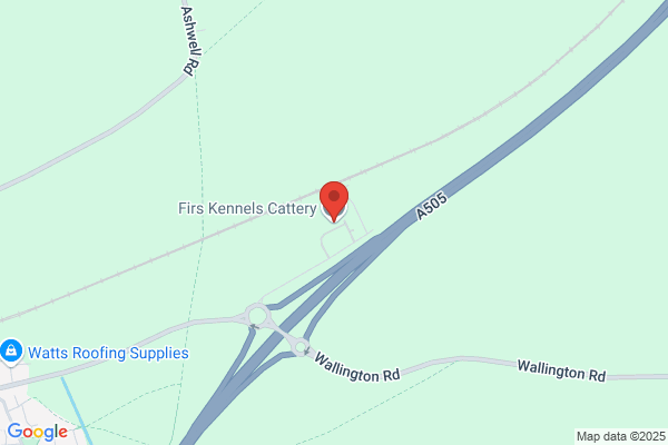 Firs Kennels Cattery