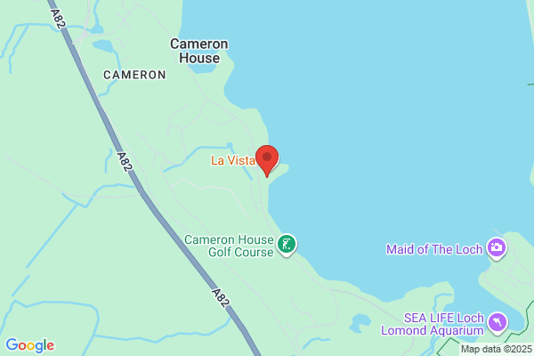 Cameron House Marina