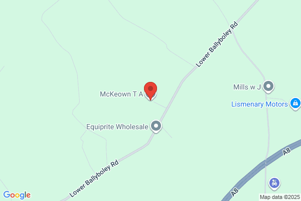 T A McKeown