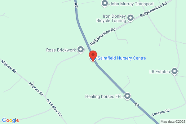 Saintfield Nursery Centre