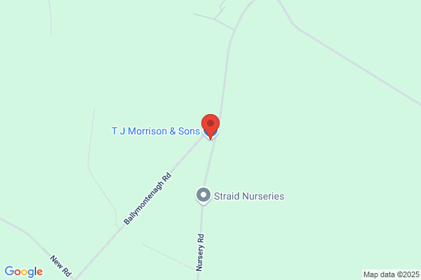 T J Morrison & Sons Ltd