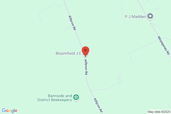 J E Bloomfield