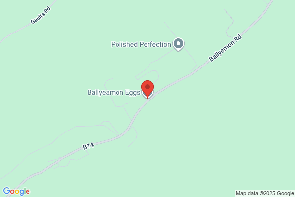 Ballyemon Eggs
