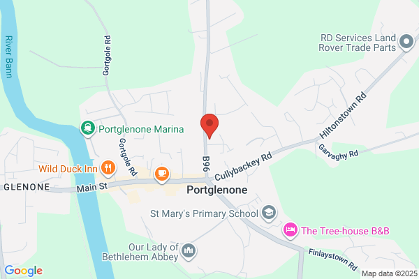 Portglenone Library