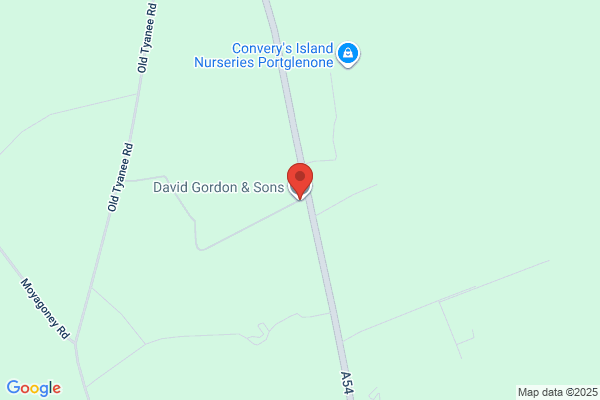 David Gordon & Sons