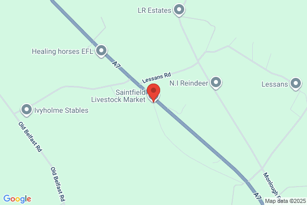 Saintfield Livestock Mart