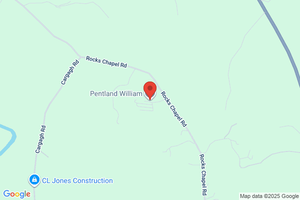 William Pentland & Partners