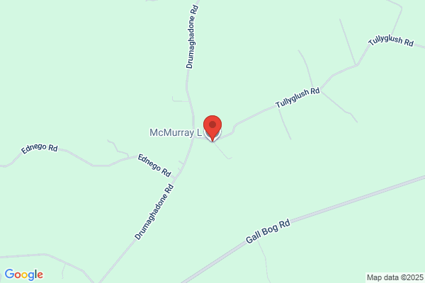 L McMurray