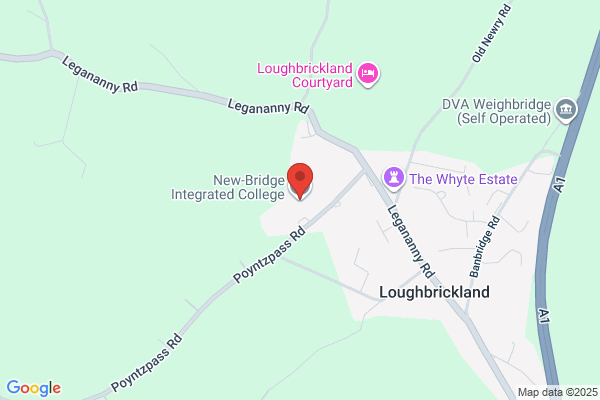 Newbridge Integrated College