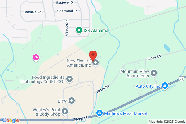The New Flyer