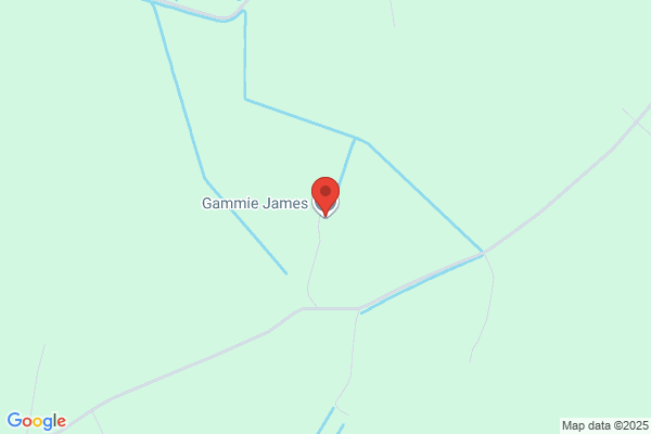 James Gammie
