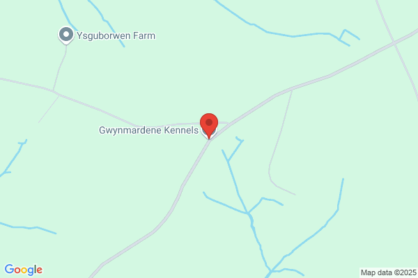 Gwyndy Kennels