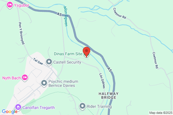 Dinas Farm Site
