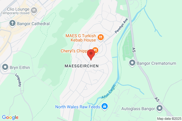 Maesgeirchen Social Club